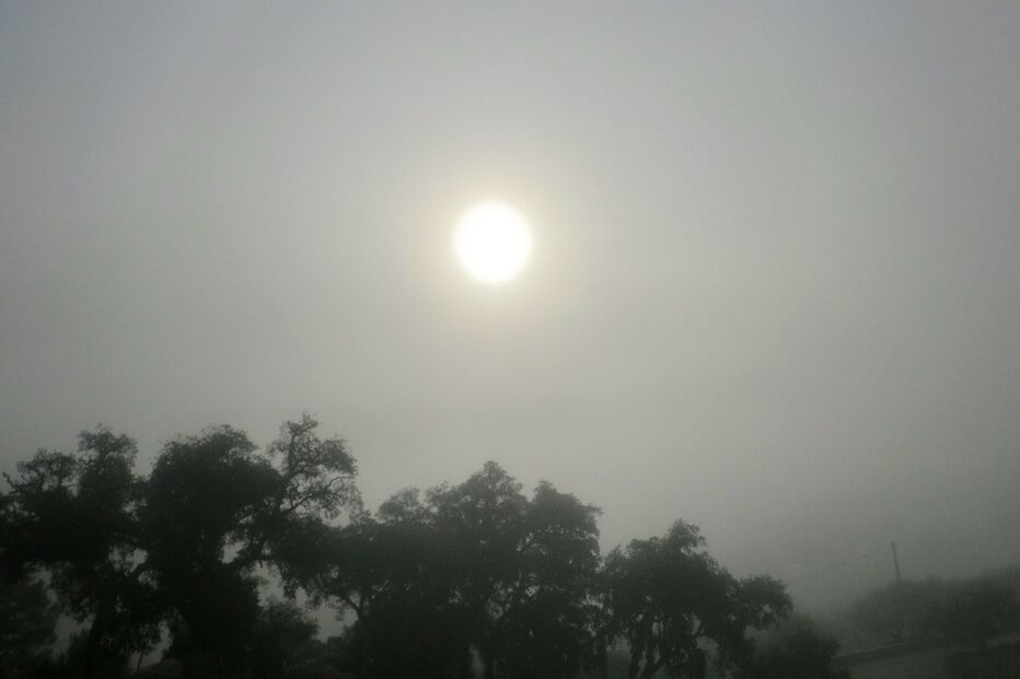 21-01-2015_15_26_28 tempo1.JPG