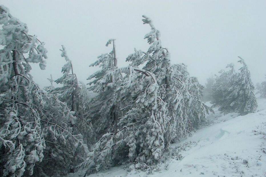 22-01-2015_21_58_00 leitor.JPG