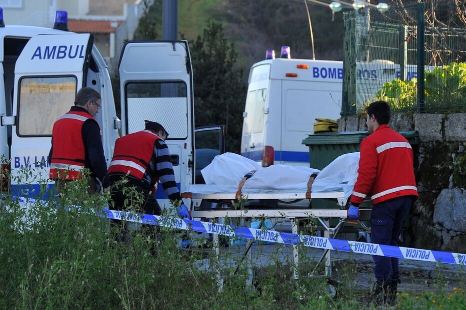 24-01-2015_23_03_52 10 morta 3 dias.jpg