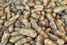 alimentos, relação, dia dos namorados