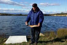 peixes, mortos, barragem