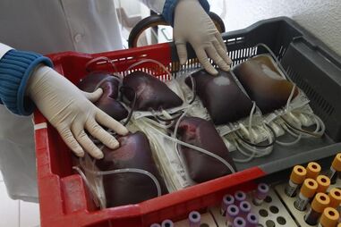 Em 2024 estavam inscritos 200 mil dadores de sangue e foram realizadas quase 300 mil dádivas