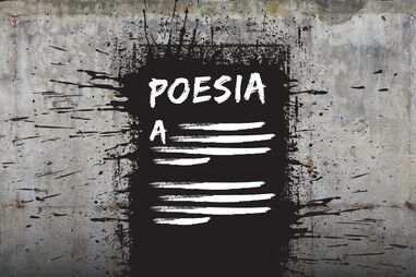 bolacha, poesia, geração arte