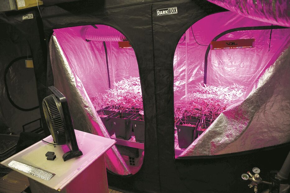 04-02-2015_01_06_03 10 algarve.jpg