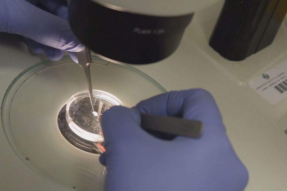 06-02-2015_14_21_12 Still0203_00003.jpg