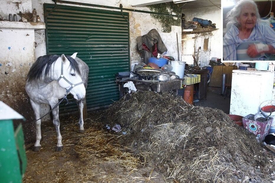 09-02-2015_23_21_14 19 estabulo.jpg