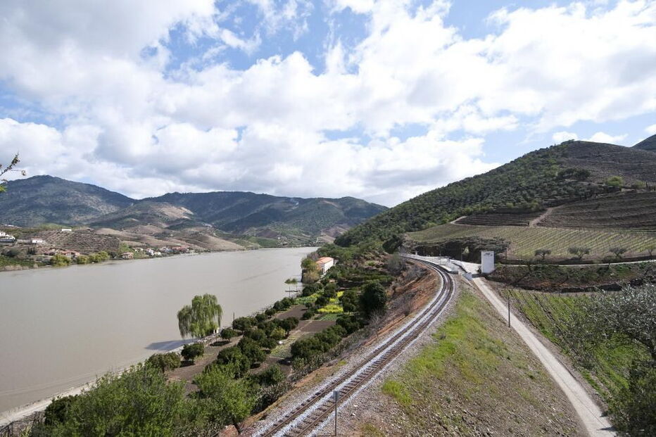 Linha do Douro, cassis, Douro, 