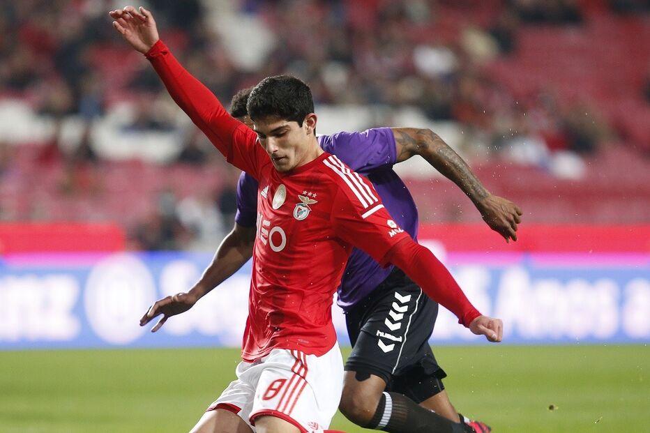 12-02-2015_22_18_24 38 gonçalo.jpg