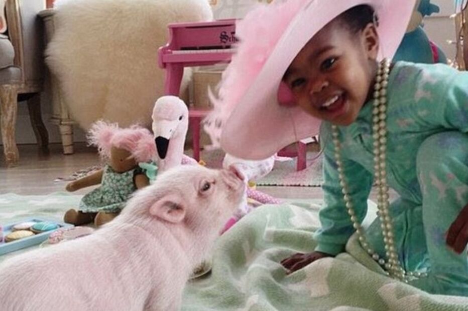 Bebé, porca, são, melhores, amigas