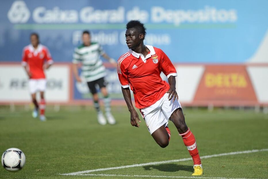 13-02-2015_22_41_08 13 dino 2.jpg