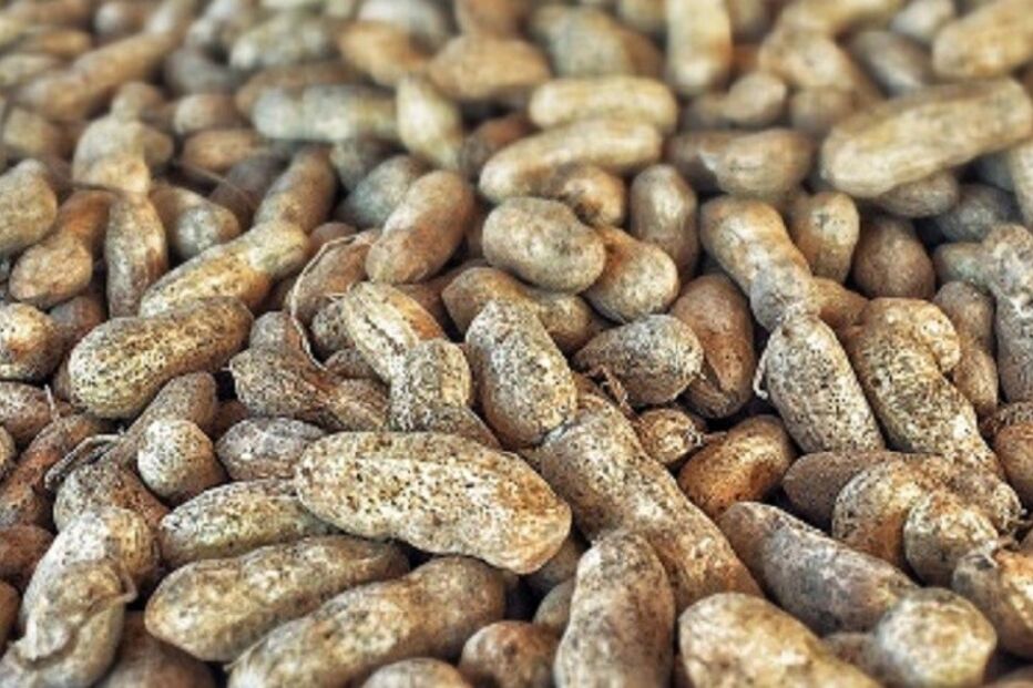 alimentos, relação, dia dos namorados