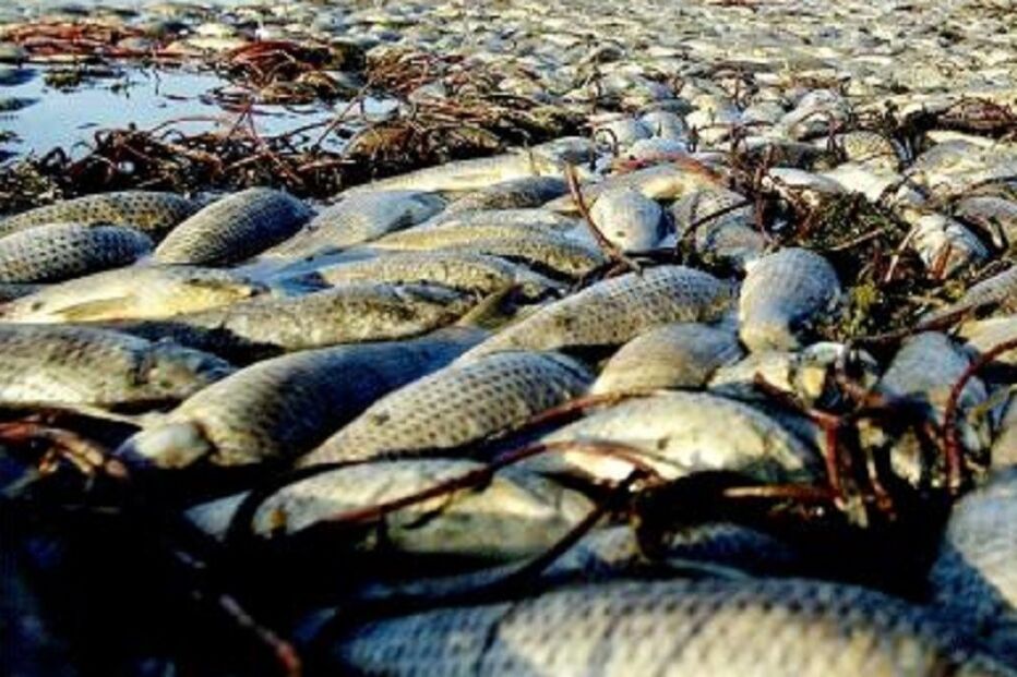 16-02-2015_11_59_10 Barragem.JPG