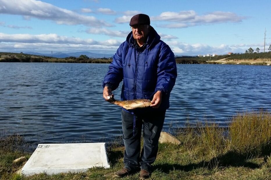 peixes, mortos, barragem