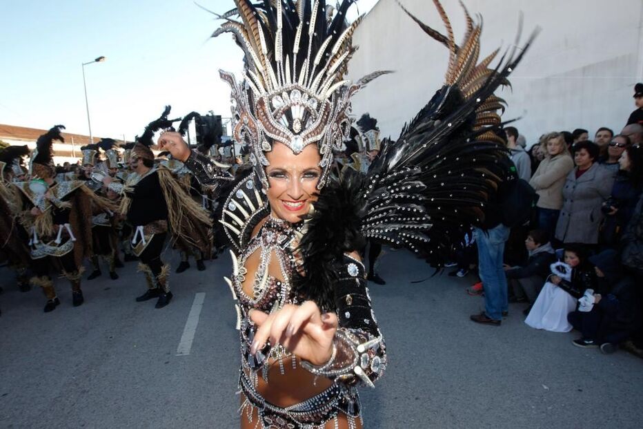 17-02-2015_19_02_13 1 - carnaval - Ricardo Almeida Mealhada.JPG