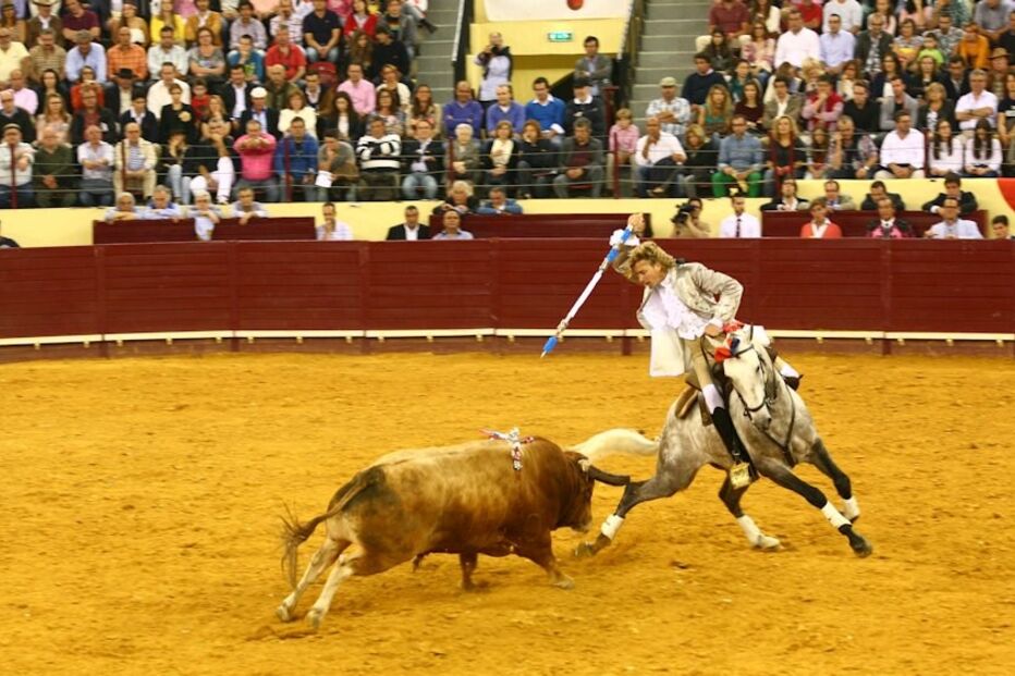 Rui Fernandes, corrida, campo, pequeno