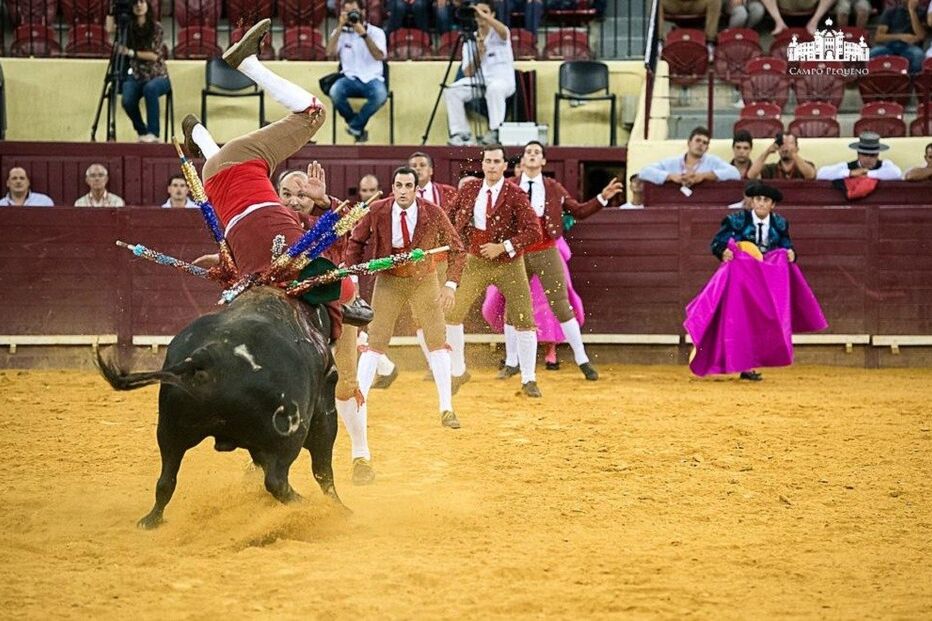 campo pequeno, corridas de touros
