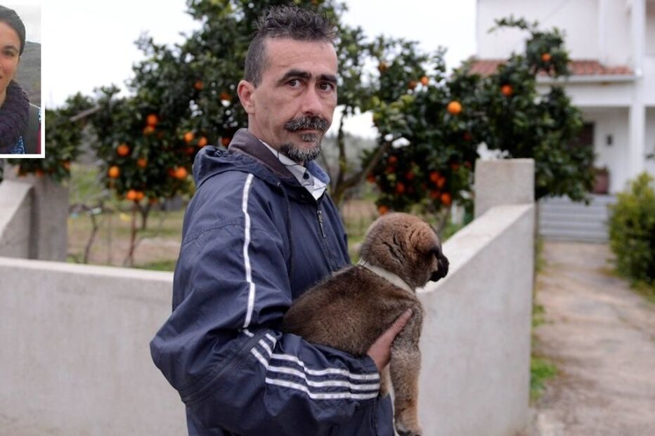 desesperamos, sem, ter, pistas