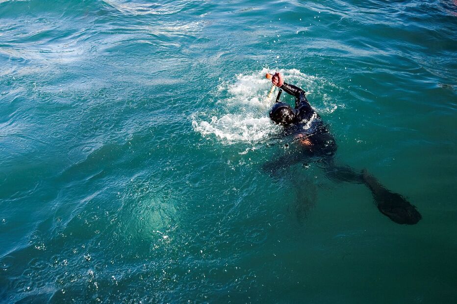 pesca, atum-rabilho, pescadores, algarve, ásia, mergulho, tiro, peixe