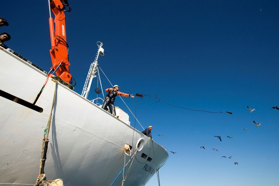 Atum-rabilho, fotorreportagem, luís costa, pesca, embarcação, mar, algarve