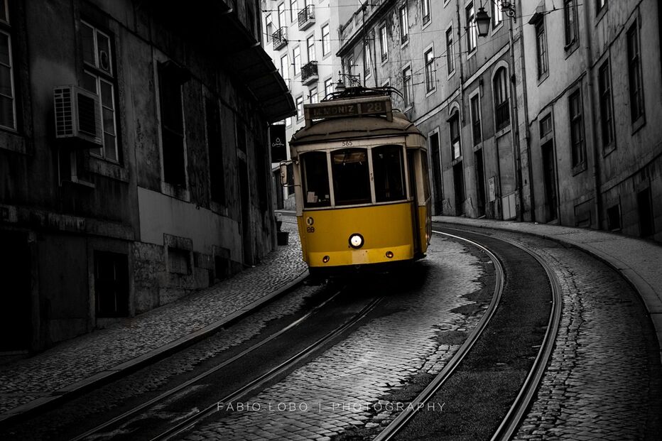 Geração Arte, Fábio Lobo