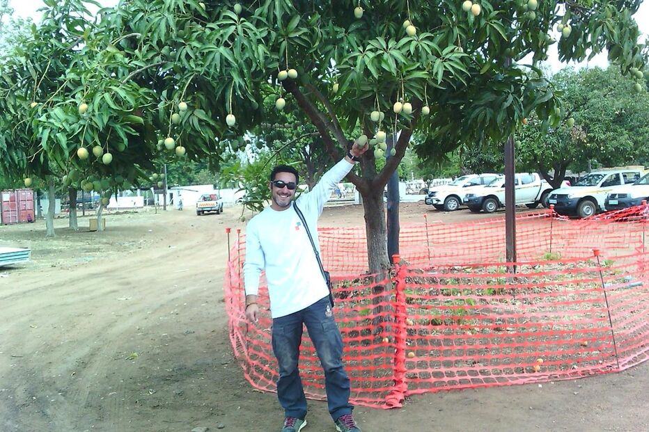 25-02-2015_00_13_37 12 cock.jpg