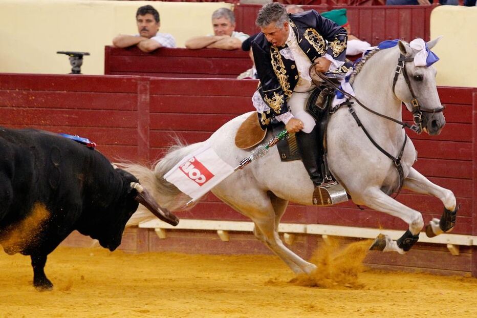campo pequeno, corrida, touros, correio da manhã