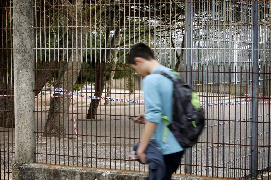 alenquer, escola, lagarta, pinheiro, infeção, tóxico, problemas respiratórios, praga, escola damião goes, hospital vila franca de xira