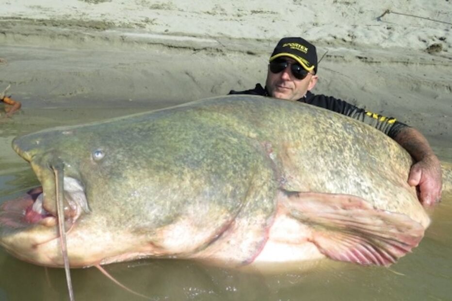 26-02-2015_18_33_29 2 - mundo louco -.jpg