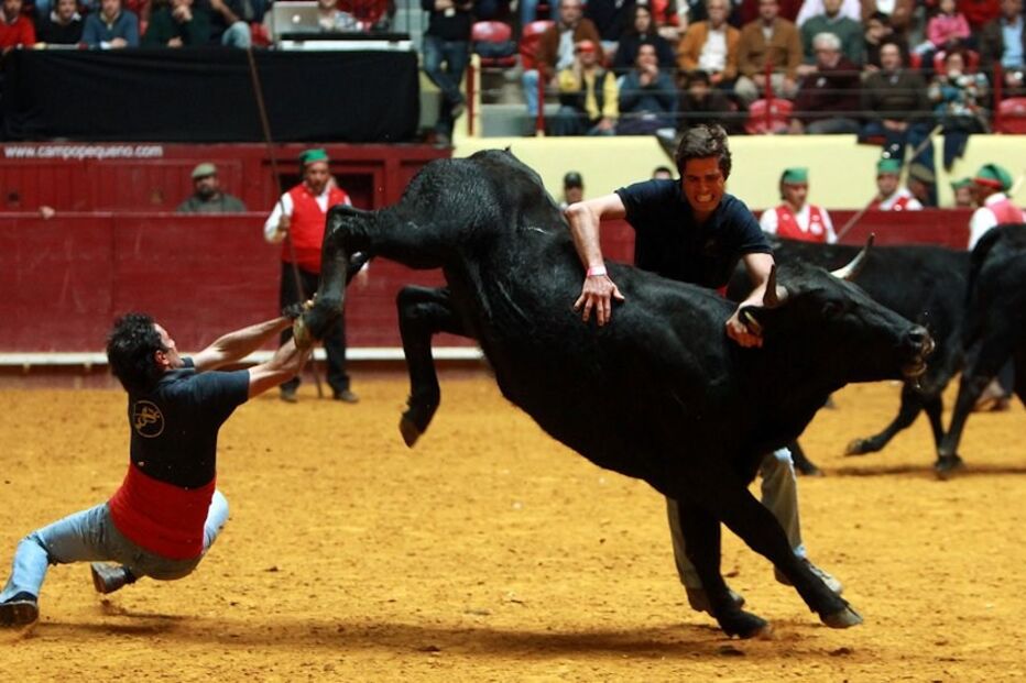 menores, 16, pegar, toiros