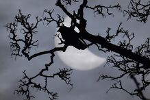 20-03-2015_11_43_56 9796443.JPG