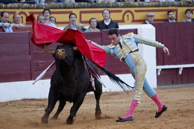 enrique ponce, tauromaquia