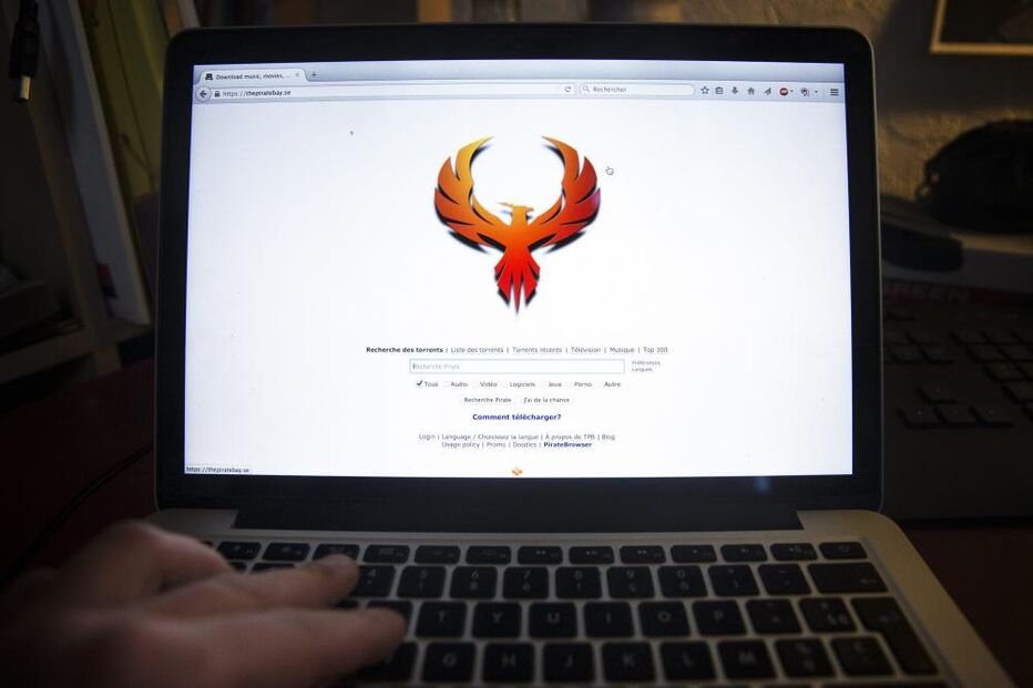 sítio, internet, online, site, Pirate Bay, computador