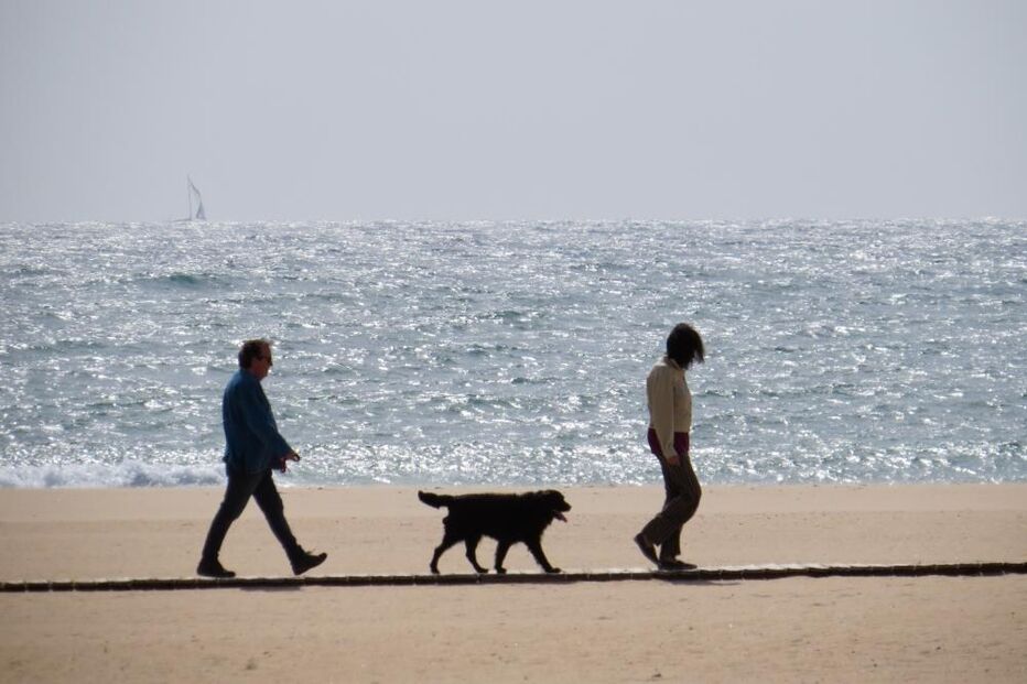 tempo, inverno, frio