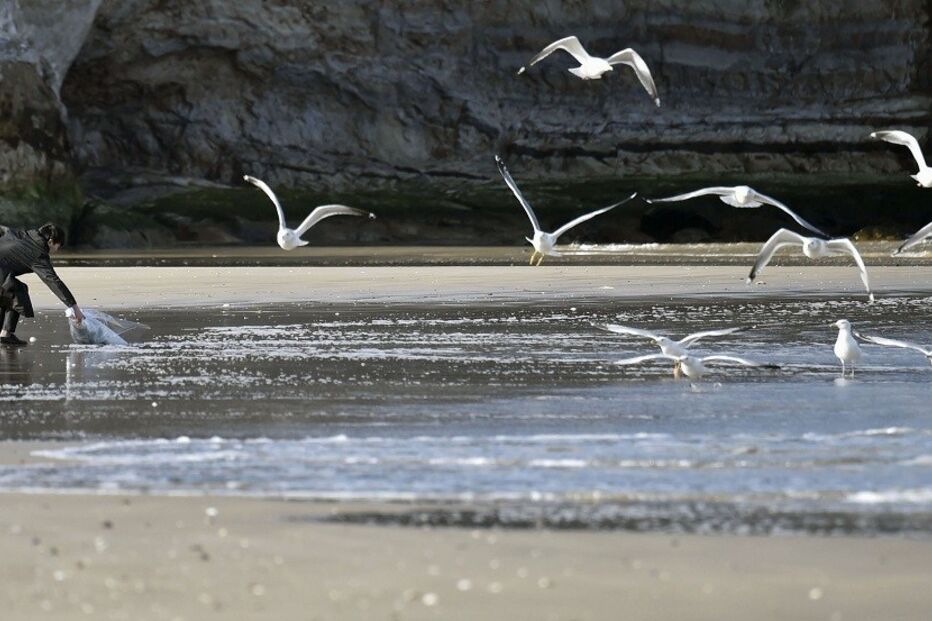 homenagem, japão, tsunami