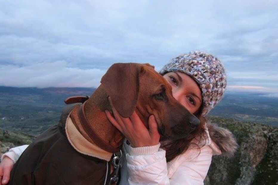 Donos, Simba, ameaça, cão, leão da rodésia, óbito, Andreia Mira, José Diogo Carriço