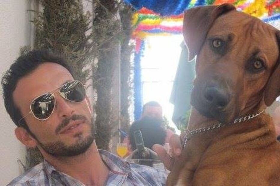 Simba, cão, abatido, donos, José Diogo Carriço, Andreia Mira