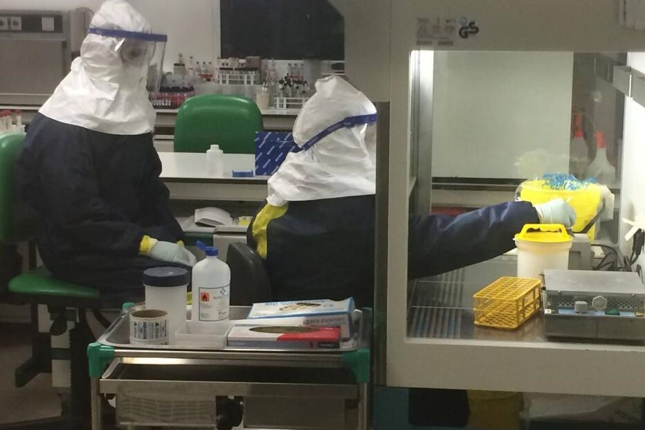 laboratorio, ebola
