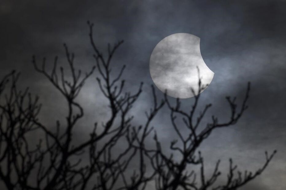 20-03-2015_11_40_58 9796440.JPG