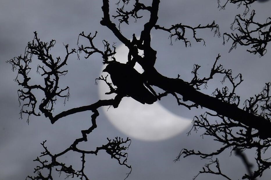 20-03-2015_11_43_56 9796443.JPG