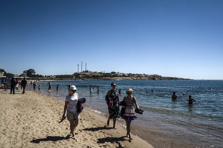 tubarão, ataque, turista, alemão