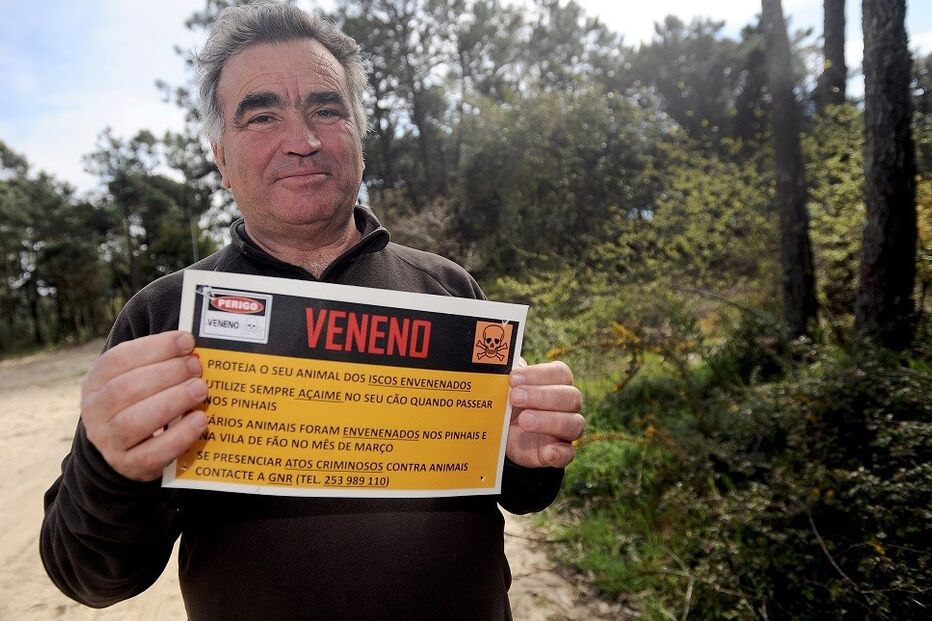 cães, veneno, animais, moradores, cartazes, donos, Fão, Esposende, mata
