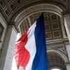<![CDATA[ Detetado novo caso de hantavírus transmissível entre humanos em França ]]>