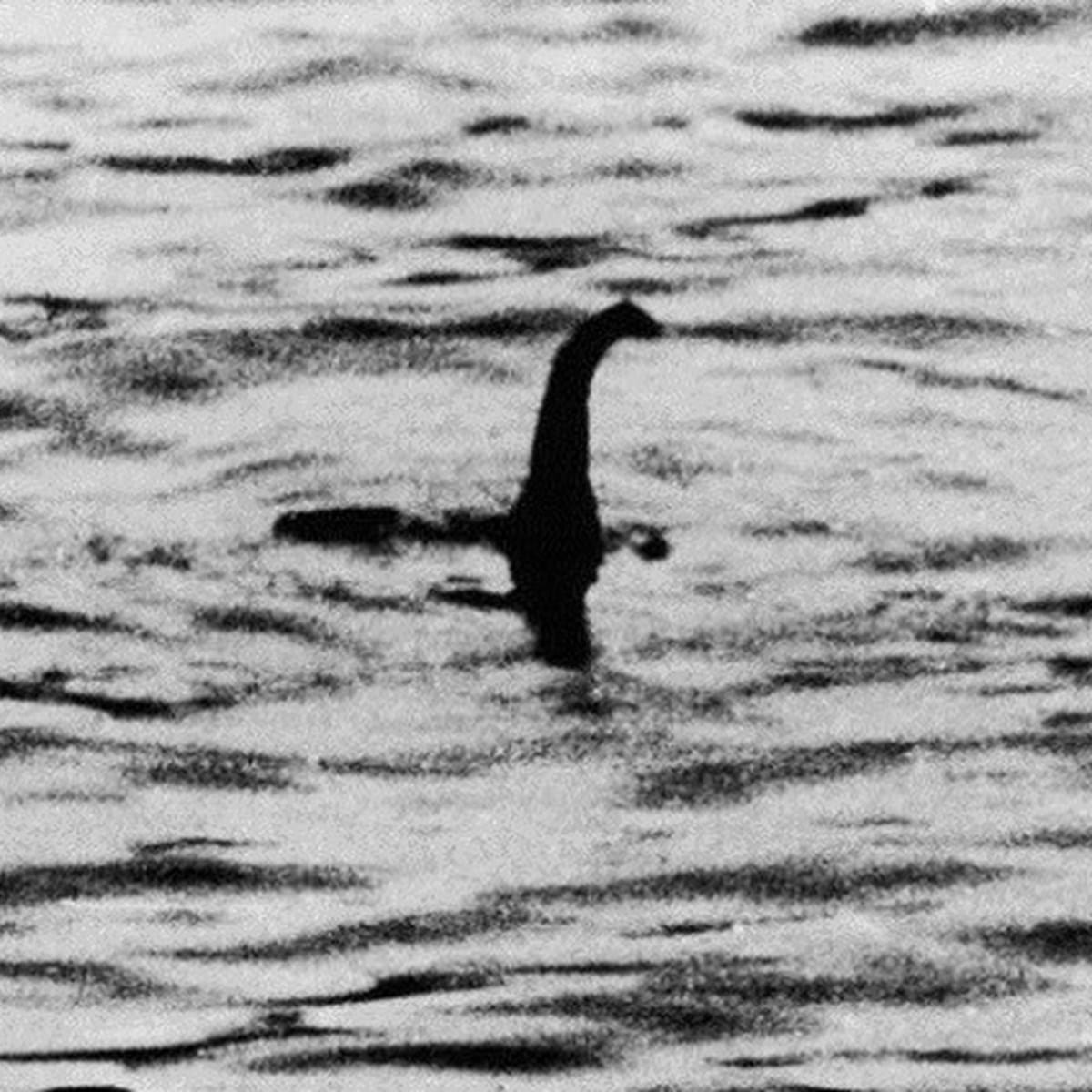 Google avista monstro de Loch Ness - Tecnologia - Correio da Manhã