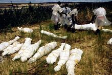 genocídio, ruanda, morte, massacre