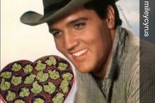 21-04-2015_11_43_42 snoop.jpg