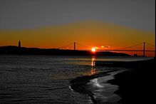 Gonçalo José Saraiva, Geração Arte