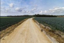 fotografias, Fábio Silva