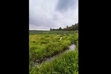 fotografias, Fábio Silva