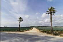 fotografias, Fábio Silva