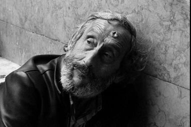 Sara Sequeira, Geração Arte